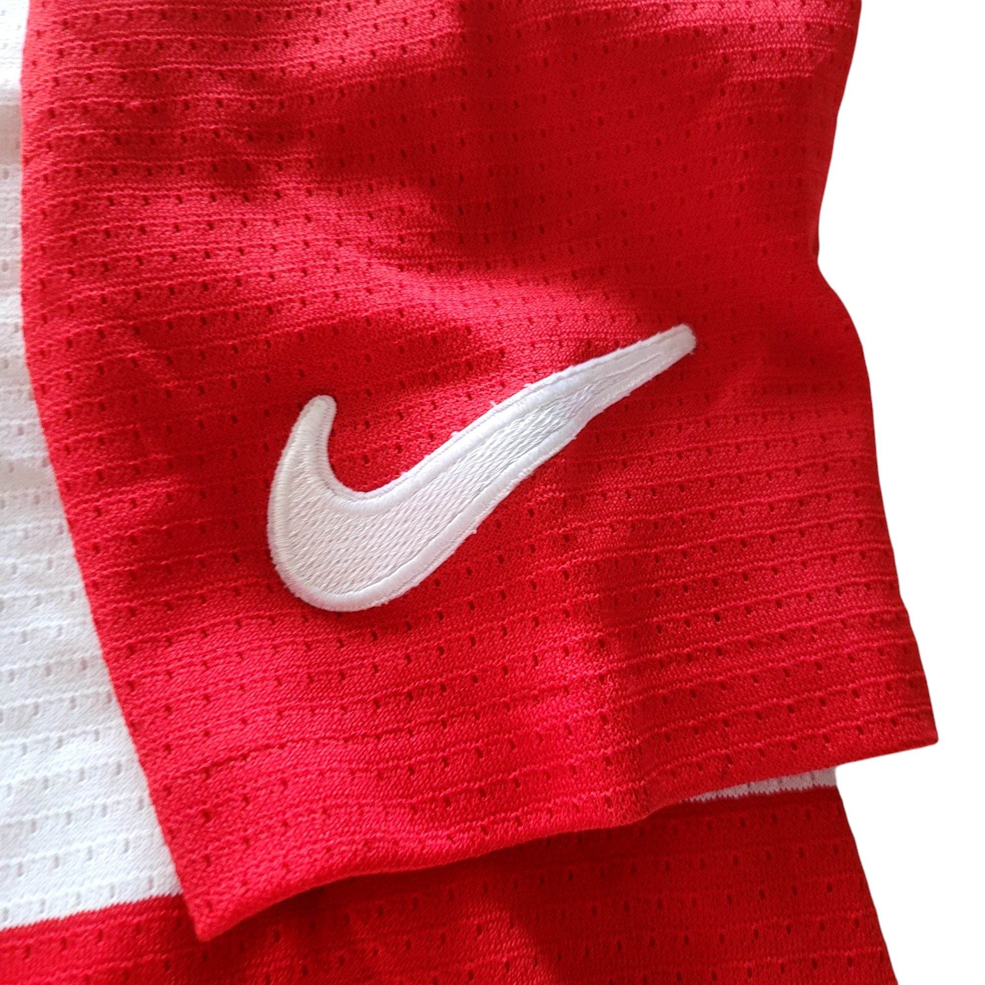 Vintage Nike Detroit Red Wings Martin Lapointe 20 Youth XL (18 - 20) Jersey – NHL - USASTARFASHION