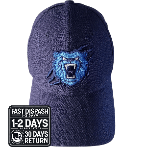 Memphis Grizzlies Fitted Cap S/M - Dark Blue, Official New Era Design - USASTARFASHION