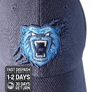 Memphis Grizzlies Fitted Cap S/M - Dark Blue, Official New Era Design - USASTARFASHION