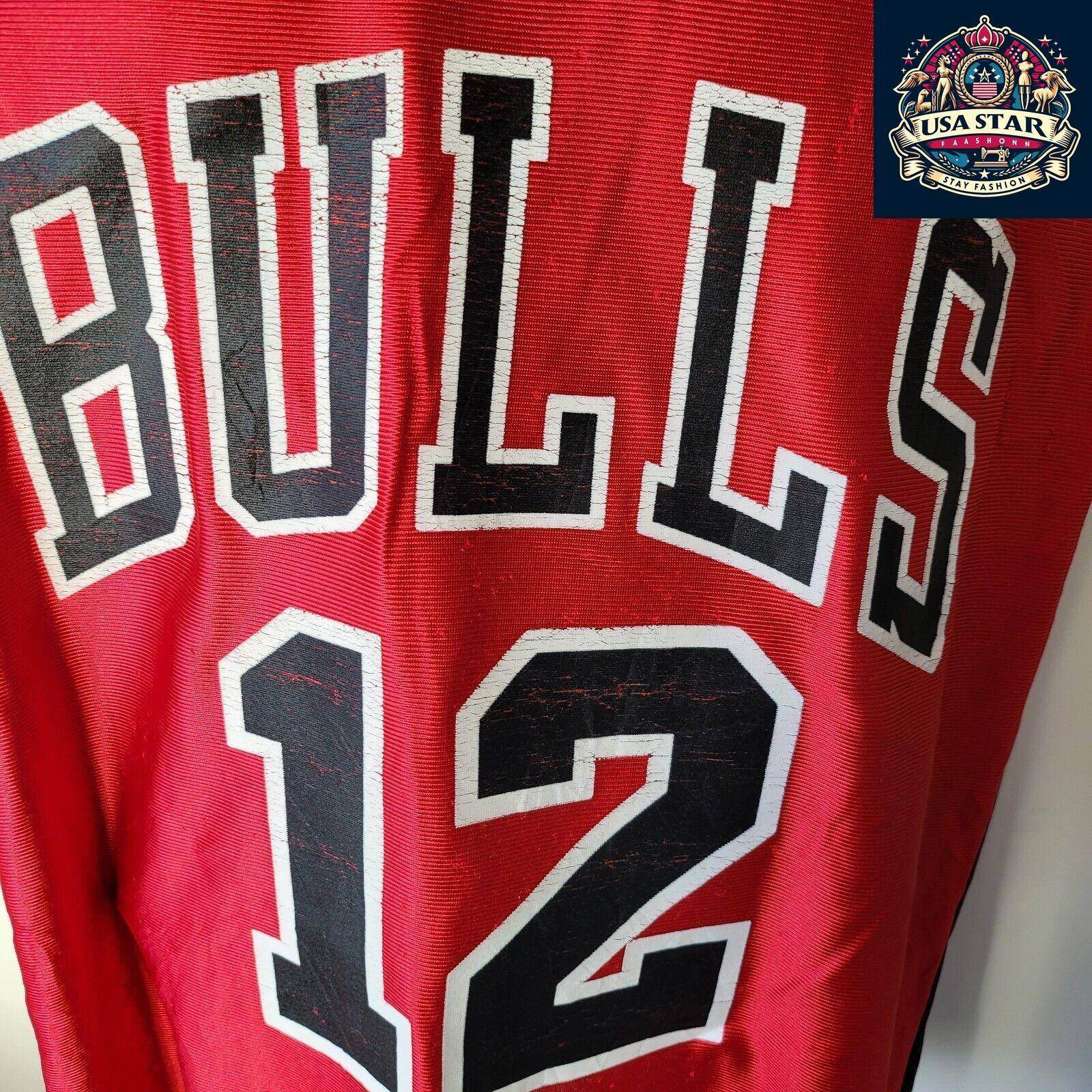 Vintage NBA Chicago Bulls Kirk Hinrich 12 Red Swingman Jersey Mens L - USASTARFASHION