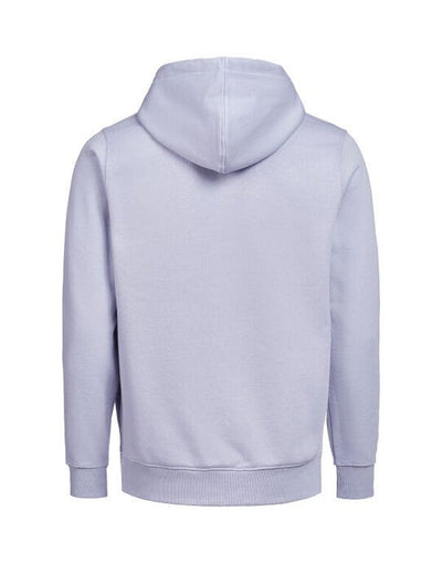 Untagged Movement UM3450010 UM FZ Hoodie Regular Fit OCS/RCS - Aster