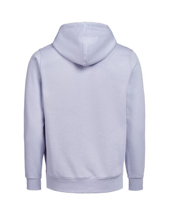 Untagged Movement UM3450010 UM FZ Hoodie Regular Fit OCS/RCS - Aster