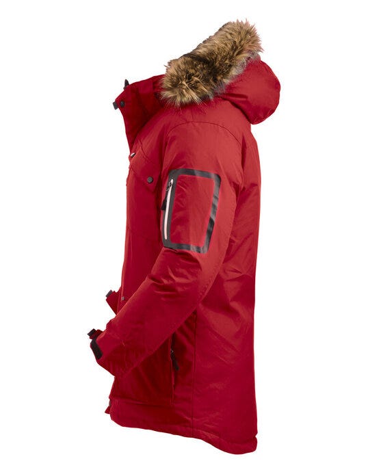Clique CQ020997 Malamute - Red