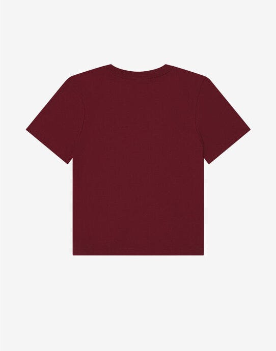 Bella + Canvas BE6110 Women's Heavy Boxy Tee - Maroon