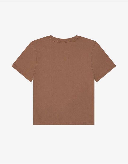 Bella + Canvas BE6110 Women's Heavy Boxy Tee - Vintage Brown