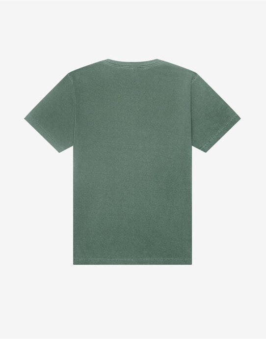 Bella + Canvas CA4810GD Unisex Heavy Dry Dye Tee - Washed Pine