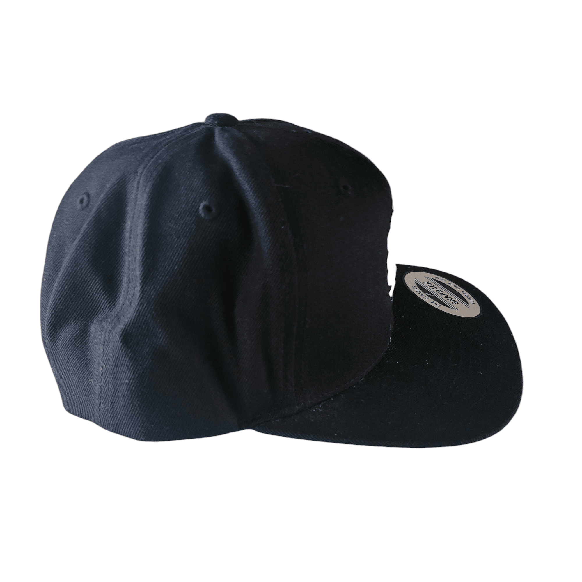 Yupoong Classic Lion Embroidery Snapback Hat - USASTARFASHION