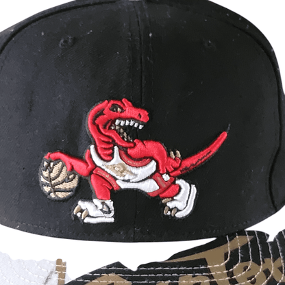 Mitchell & Ness Toronto Raptors Cap - USASTARFASHION