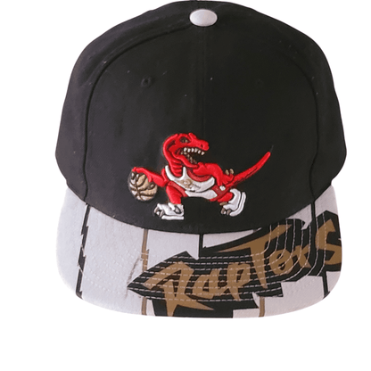 Mitchell & Ness Toronto Raptors Cap - USASTARFASHION