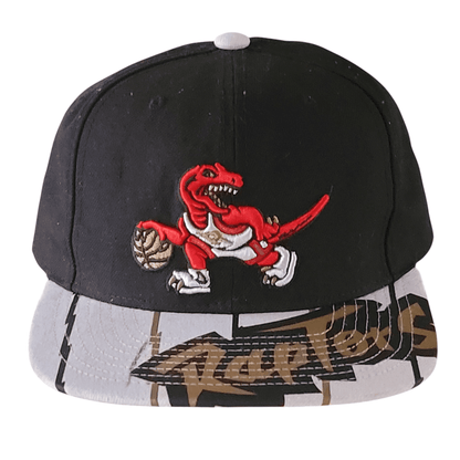 Mitchell & Ness Toronto Raptors Cap - USASTARFASHION