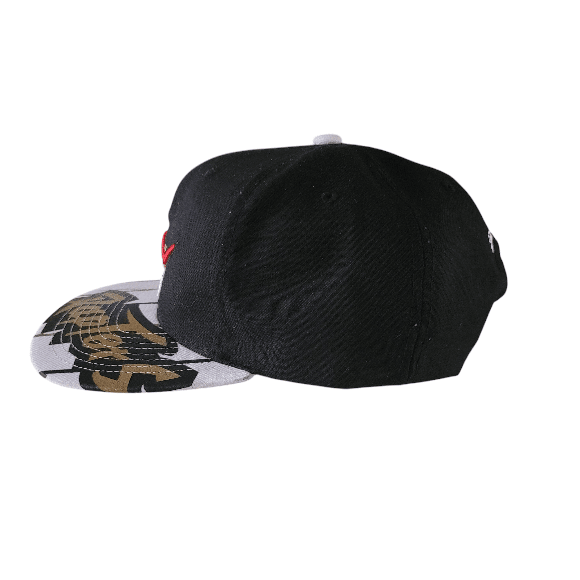 Mitchell & Ness Toronto Raptors Cap - USASTARFASHION