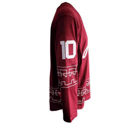 Arizona Coyotes Jersey - Fanatics Breakaway, Hasel 10, Men's Medium, Maroon - USASTARFASHION