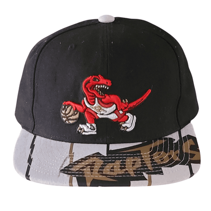 Mitchell & Ness Toronto Raptors Cap - USASTARFASHION