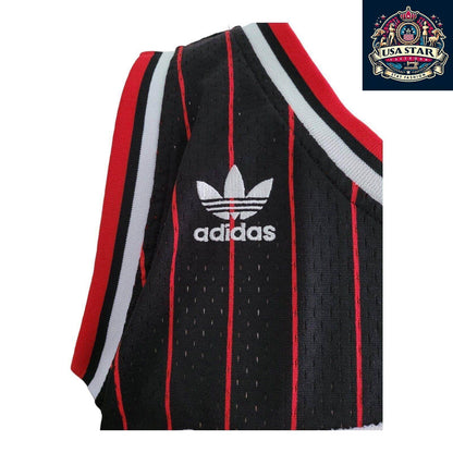Scottie Pippen 33 Chicago Bulls Jersey - Black Red Pinstripe Vintage M - NBA Apparel - USASTARFASHION