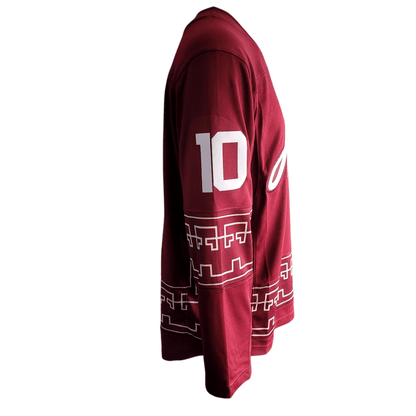 Arizona Coyotes Jersey - Fanatics Breakaway, Hasel 10, Men's Medium, Maroon - USASTARFASHION