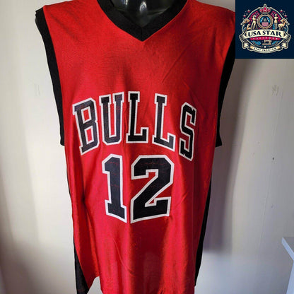 Vintage NBA Chicago Bulls Kirk Hinrich 12 Red Swingman Jersey Mens L - USASTARFASHION