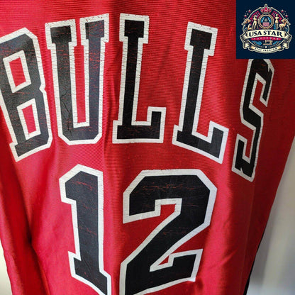 Vintage NBA Chicago Bulls Kirk Hinrich 12 Red Swingman Jersey Mens L - USASTARFASHION