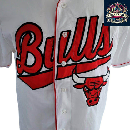 Vintage nba chicago bulls no 66 Jersey Adult Sz XL - USASTARFASHION